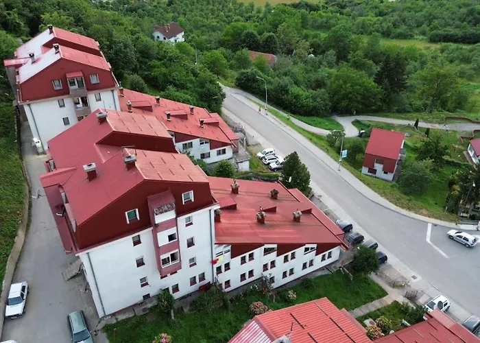 Kulic 2